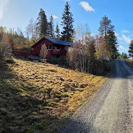 Cozy Forest In Evje
